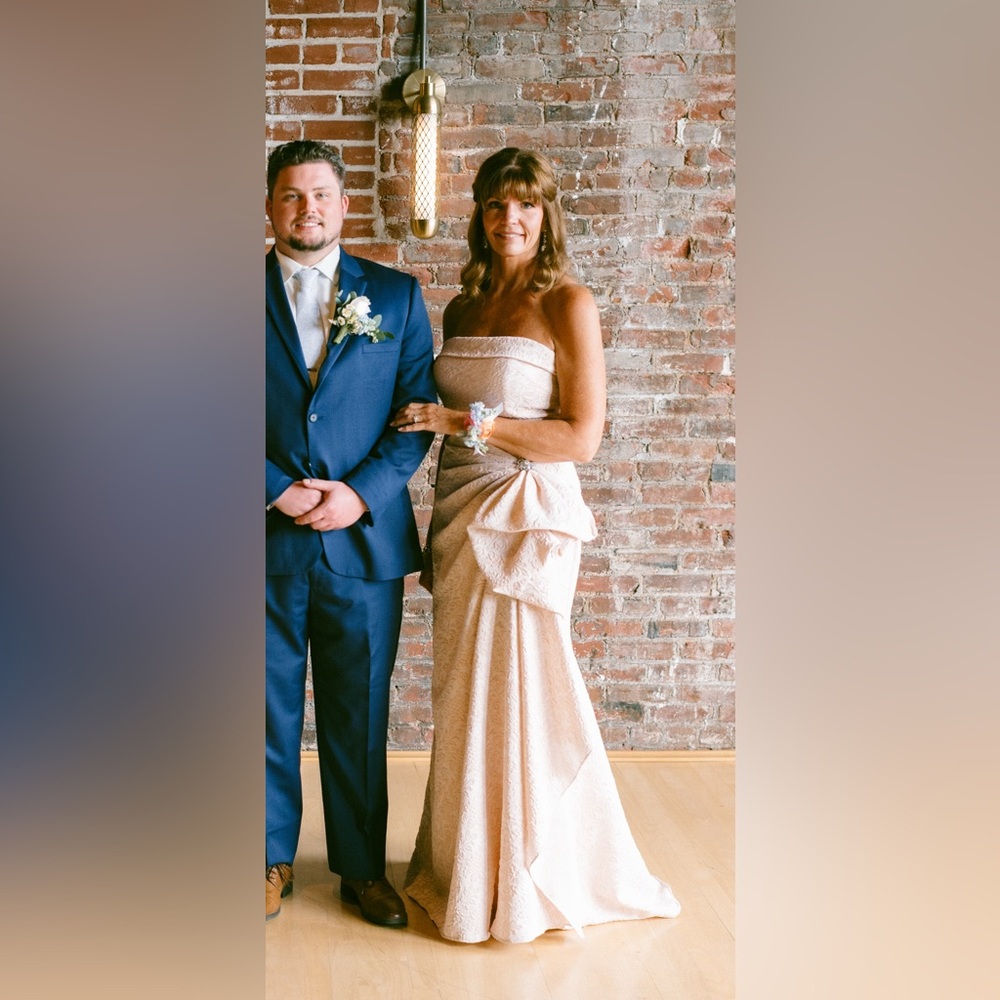 Terani Couture Blush Gown